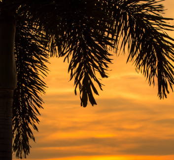 Singapur-Skypark-Dach-vom